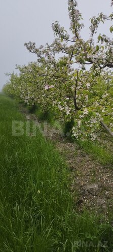 Продаётся  участок 115 сот, photo 1 from 11