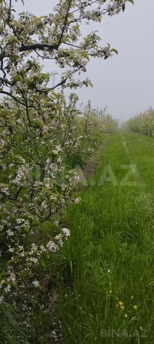 Продаётся  участок 115 сот, photo 3 from 11