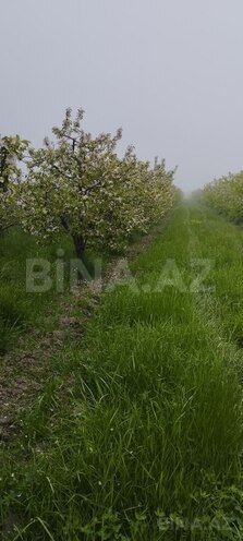 Продаётся  участок 115 сот, photo 6 from 11