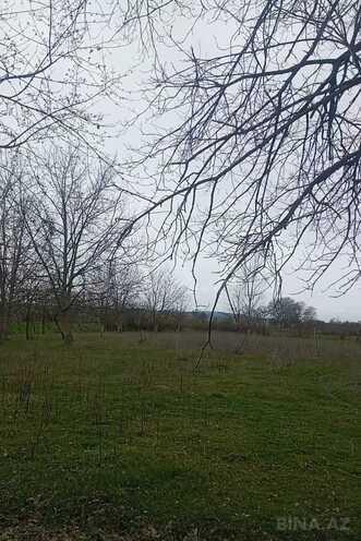 Продаётся  участок 30 сот, photo 3 from 7