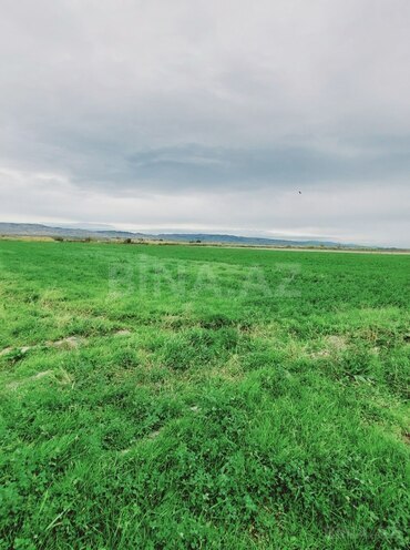 Продаётся  участок 13 000 сот, photo 5 from 6