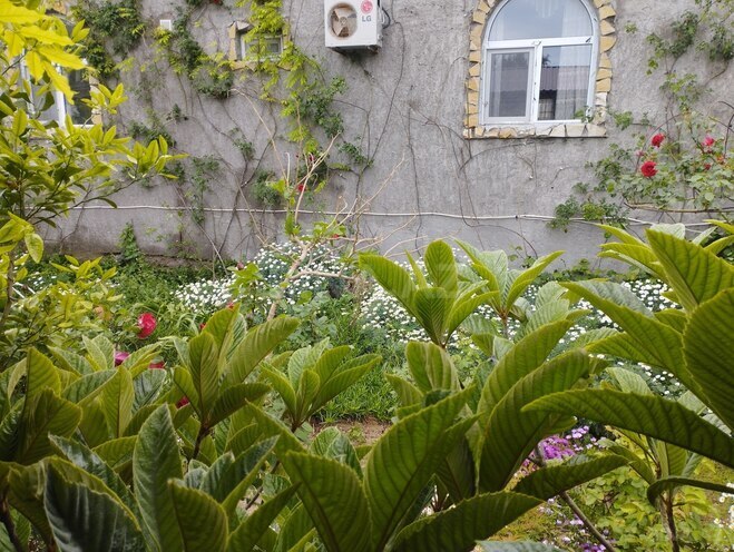 Продаётся 5-комн. дом/дача 300 м², пос. Шувеляны, photo 20 from 24