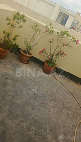 Сдаётся 1-комн. новостройка 30 м², м. Элмляр Академиясы, photo 7 from 10