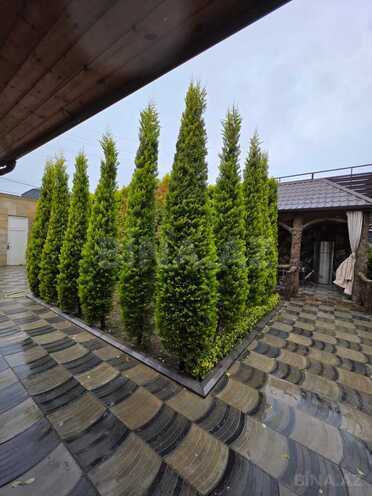 Сдаётся 5-комн. дом/дача 150 м², пос. Бузовна, photo 7 from 25