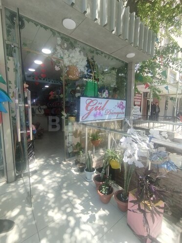 Продаётся  объект 130 м², м. Мемар Аджеми, photo 16 from 22
