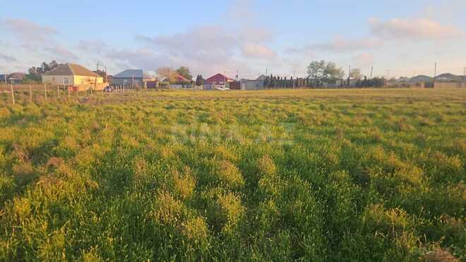 Продаётся  участок 40 сот, пос. Мамедли, photo 3 from 5