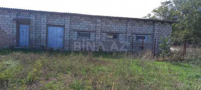 Продаётся  участок 152 сот, Хачмазский р., photo 5 from 7