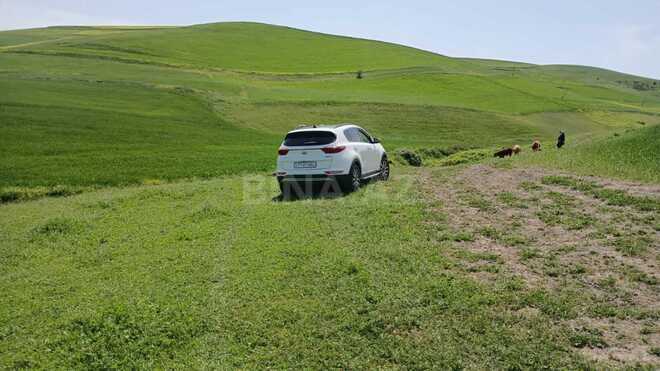 Продаётся  участок 150 сот, photo 1 from 4