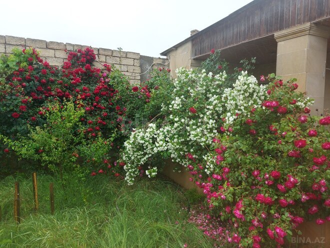 Продаётся 4-комн. дом/дача 100 м², пос. Мардакан, photo 29 from 30