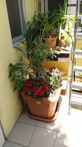 Продаётся 4-комн. дом/дача 113 м², м. Нариман Нариманов, photo 28 from 31