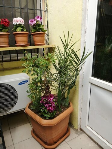 Продаётся 4-комн. дом/дача 113 м², м. Нариман Нариманов, photo 23 from 31