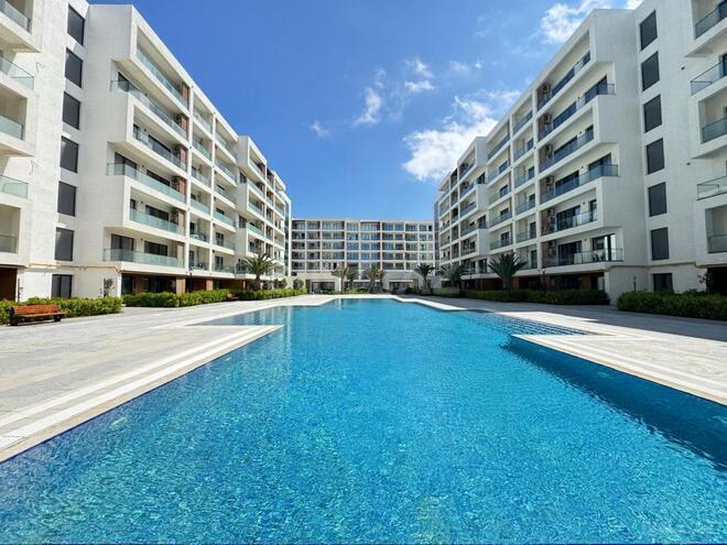 Сдаётся 1-комн. новостройка 55 м², пос. Sea Breeze, photo 1 from 12