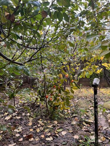 Сдаётся 3-комн. дом/дача 70 м², пос. Гала, photo 11 from 16