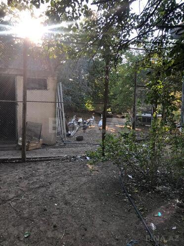 Продаётся 6-комн. дом/дача 570 м², пос. Мардакан, photo 16 from 23