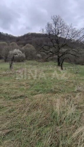 Продаётся  участок 200 сот, photo 1 from 7