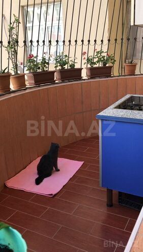 Продаётся 4-комн. новостройка 140 м², м. Иншаатчылар, photo 17 from 19