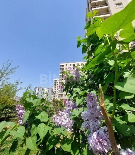 Продаётся 3-комн. новостройка 126 м², пос. Ашагы Гюздек, photo 28 from 31