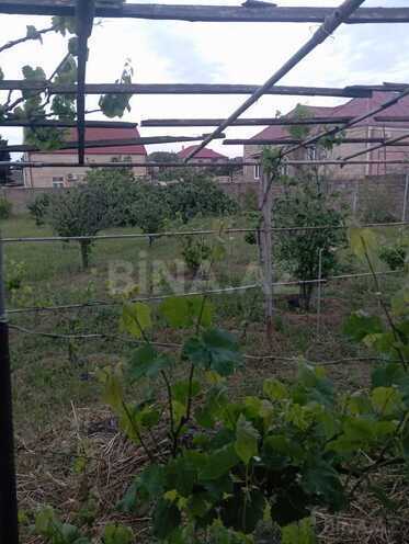 Продаётся  участок 14 сот, пос. Шувеляны, photo 5 from 8