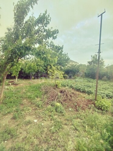 Продаётся 2-комн. дом/дача 32 м², photo 7 from 19