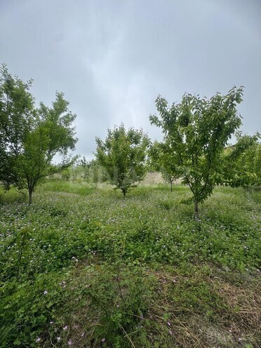 Продаётся 5-комн. дом/дача 450 м², photo 18 from 20