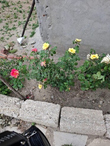 Продаётся 4-комн. дом/дача 100 м², пос. Амирджаны, photo 10 from 11