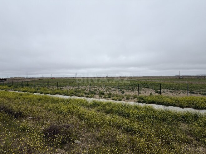 Продаётся  участок 185 сот, пос. Горадил, photo 7 from 9