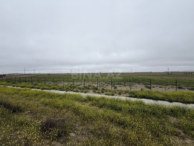 Продаётся  участок 185 сот, пос. Горадил, photo 4 from 9