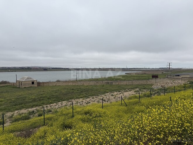 Продаётся  участок 185 сот, пос. Горадил, photo 6 from 9