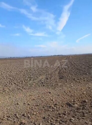 Satılır  torpaq 207 sot, photo 1 from 3