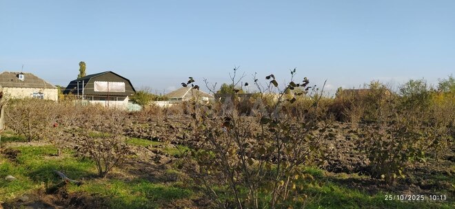 Satılır  torpaq 10 sot, Xaçmaz r., photo 3 from 4