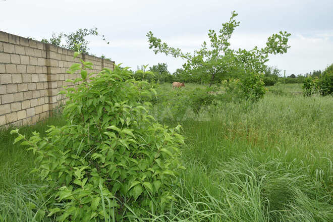 Продаётся 7-комн. дом/дача 250 м², Хачмазский р., photo 31 from 32