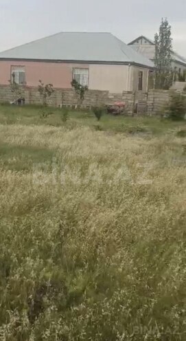 Продаётся  участок 9 сот, пос. Мамедли, photo 4 from 5