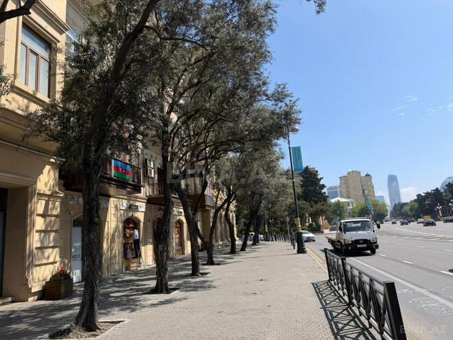İcarəyə verilir  obyekt 220 m², Sahil m., photo 16 from 17