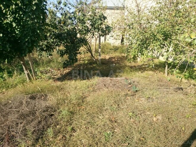 Продаётся 8-комн. дом/дача 350 м², пос. Мамедли, photo 21 from 27