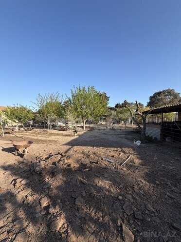 Satılır  torpaq 12 sot, Şüvəlan q., photo 4 from 7