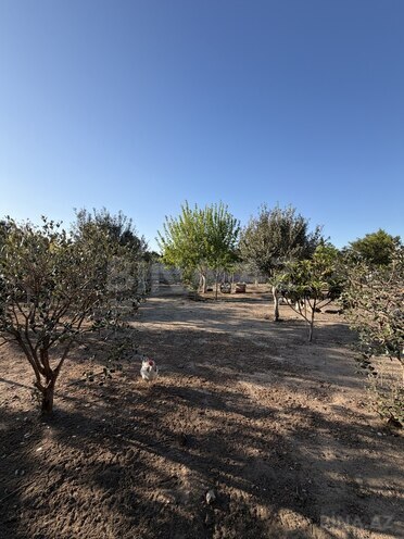 Satılır  torpaq 12 sot, Şüvəlan q., photo 6 from 7