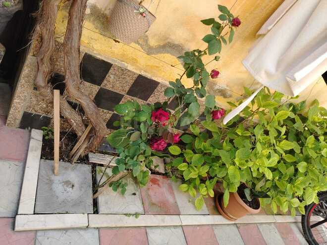 Продаётся 3-комн. дом/дача 80 м², photo 5 from 32