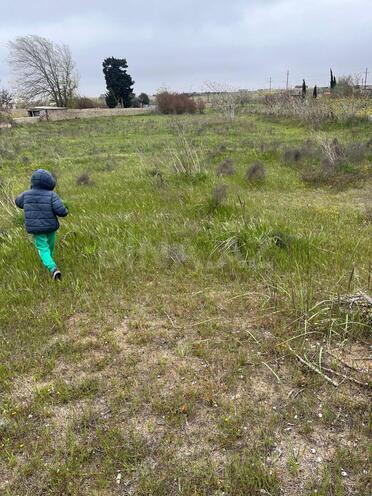 Продаётся  участок 20 сот, пос. Зире, photo 6 from 22