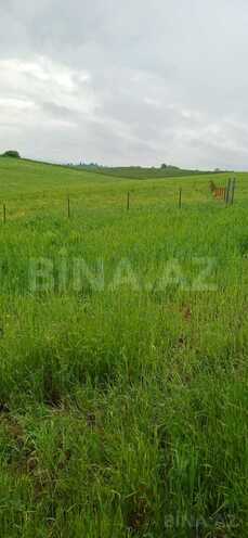 Продаётся  участок 60 сот, photo 3 from 8