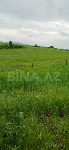 Продаётся  участок 60 сот, photo 4 from 8