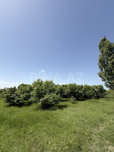 Продаётся 4-комн. дом/дача 150 м², photo 8 from 21