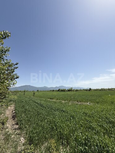 Продаётся 4-комн. дом/дача 150 м², photo 12 from 21
