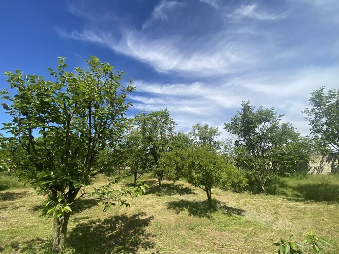 Продаётся  участок 20 сот, photo 8 from 10