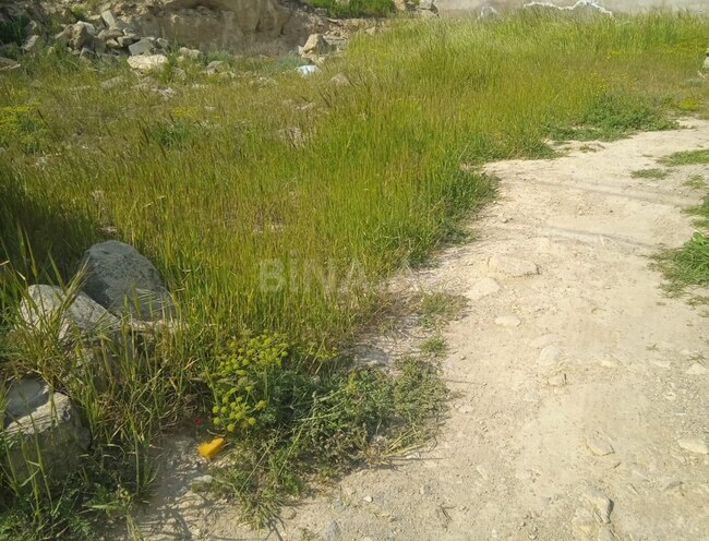 Продаётся  участок 6 сот, пос. Бадамдар, photo 4 from 5