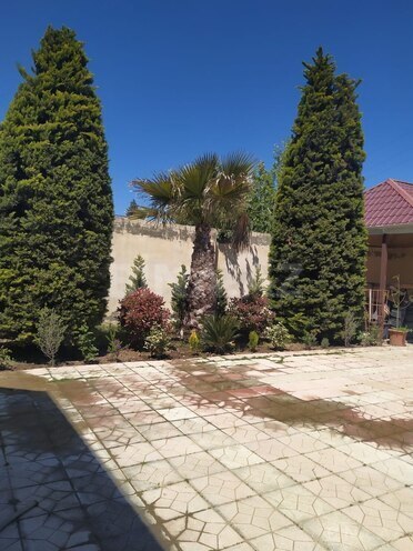 Сдаётся 5-комн. дом/дача 350 м², пос. Мардакан, photo 4 from 17
