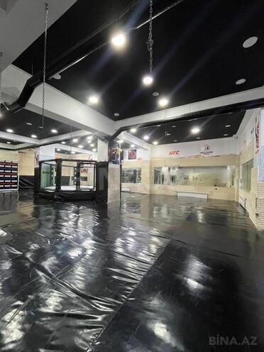 İcarəyə verilir  obyekt 350 m², Yeni Yasamal q., photo 5 from 10