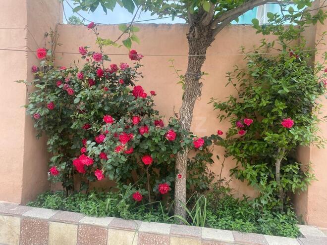 İcarəyə verilir 9 otaqlı həyət evi/bağ evi 500 m², Əhmədli m., photo 21 from 25