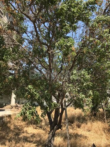Satılır 5 otaqlı həyət evi/bağ evi 120 m², Suraxanı r., photo 22 from 24