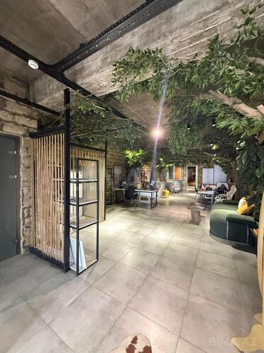 Продаётся 11-комн. офис 1 350 м², м. Шах Исмаил Хатаи, photo 13 from 32
