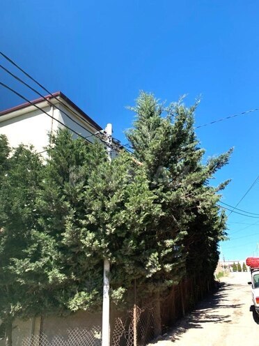 Satılır 10 otaqlı həyət evi/bağ evi 750 m², Hökməli q., photo 19 from 20